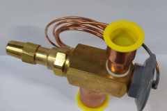 Parker-OVE-55-CP100-1