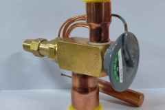 Parker-OVE-55-CP100-3